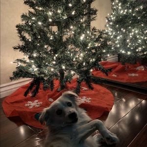 Meet your Posher, Saray